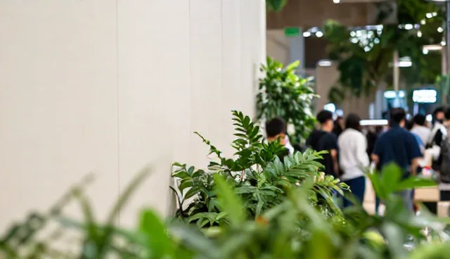 微信小程序免费制作中分页数据与多格式数据导出的应用